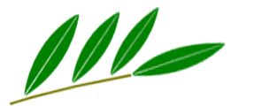 AAR