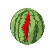 Image / illustration